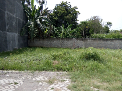 foto contoh rumah perumahan VILLA LAVENDER REGENCY