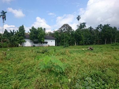 foto contoh rumah perumahan GRIYA MUTIARA BATURAJA 2