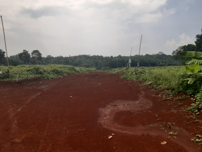 foto contoh rumah perumahan Bumi Purwadadi Indah