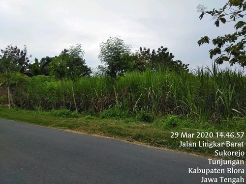 foto contoh rumah perumahan GRAHA PANCA MUSTIKHA TUNJUNGAN