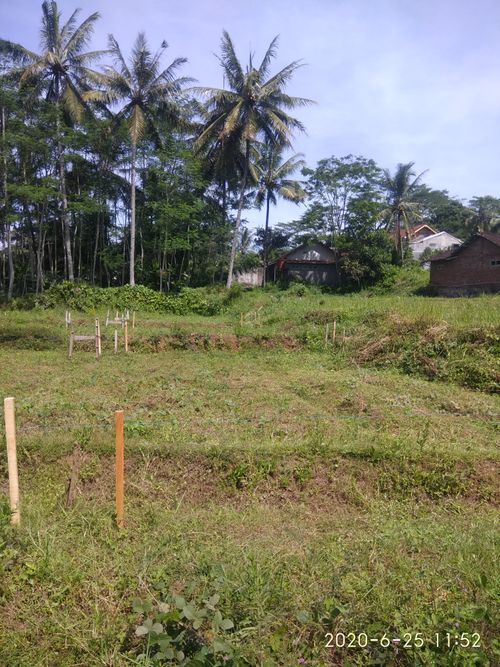 foto contoh rumah perumahan Projo Aussindo