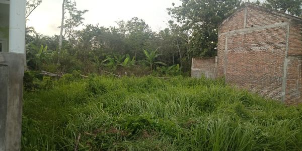 foto contoh rumah perumahan Griya Pylandra