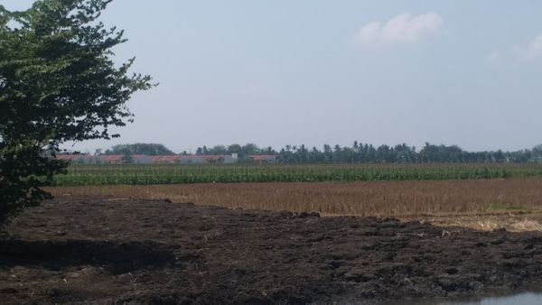 foto contoh rumah perumahan Cikarang Residence