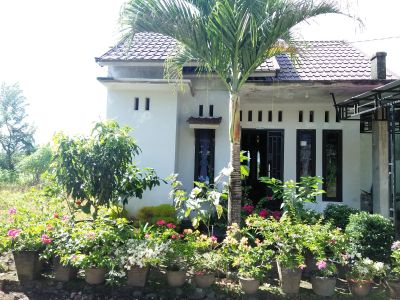 foto contoh rumah perumahan Bancah Tarok 