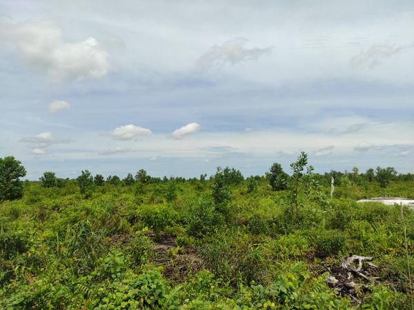 foto contoh rumah perumahan CITRA MANDIRI RESIDENCE 17