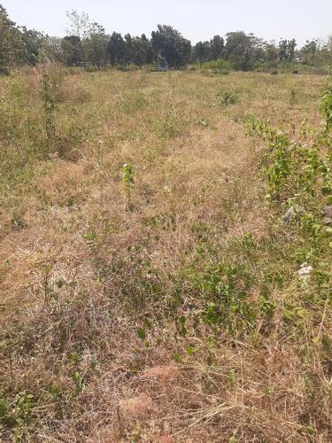 foto contoh rumah perumahan CITRA PEDAN ASRI
