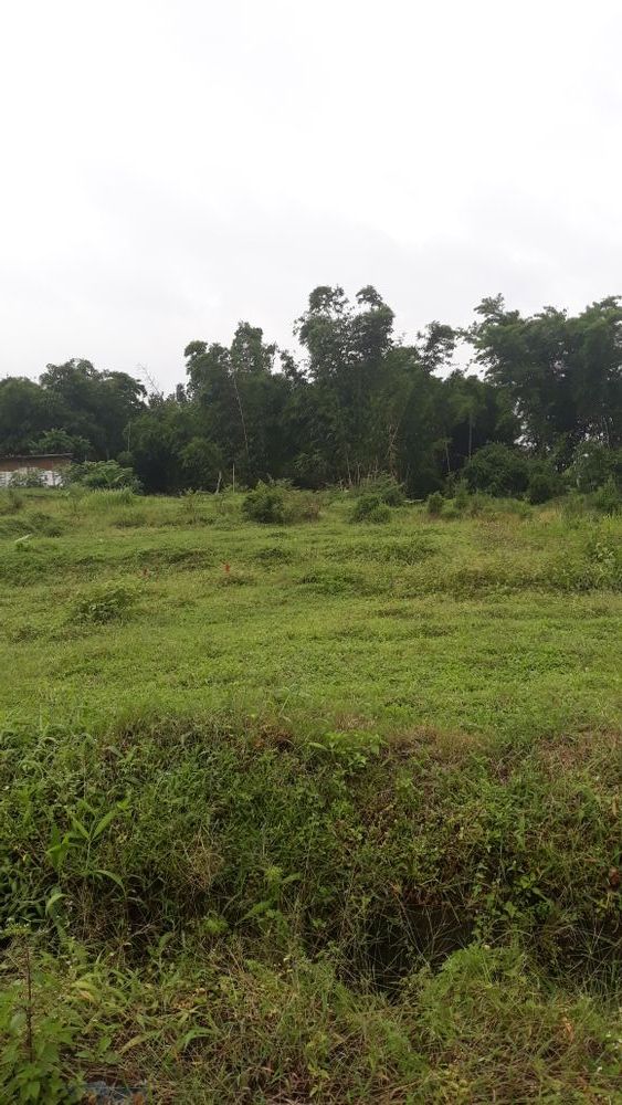 foto contoh rumah perumahan Bumi Sakinah Sucinaraja 2
