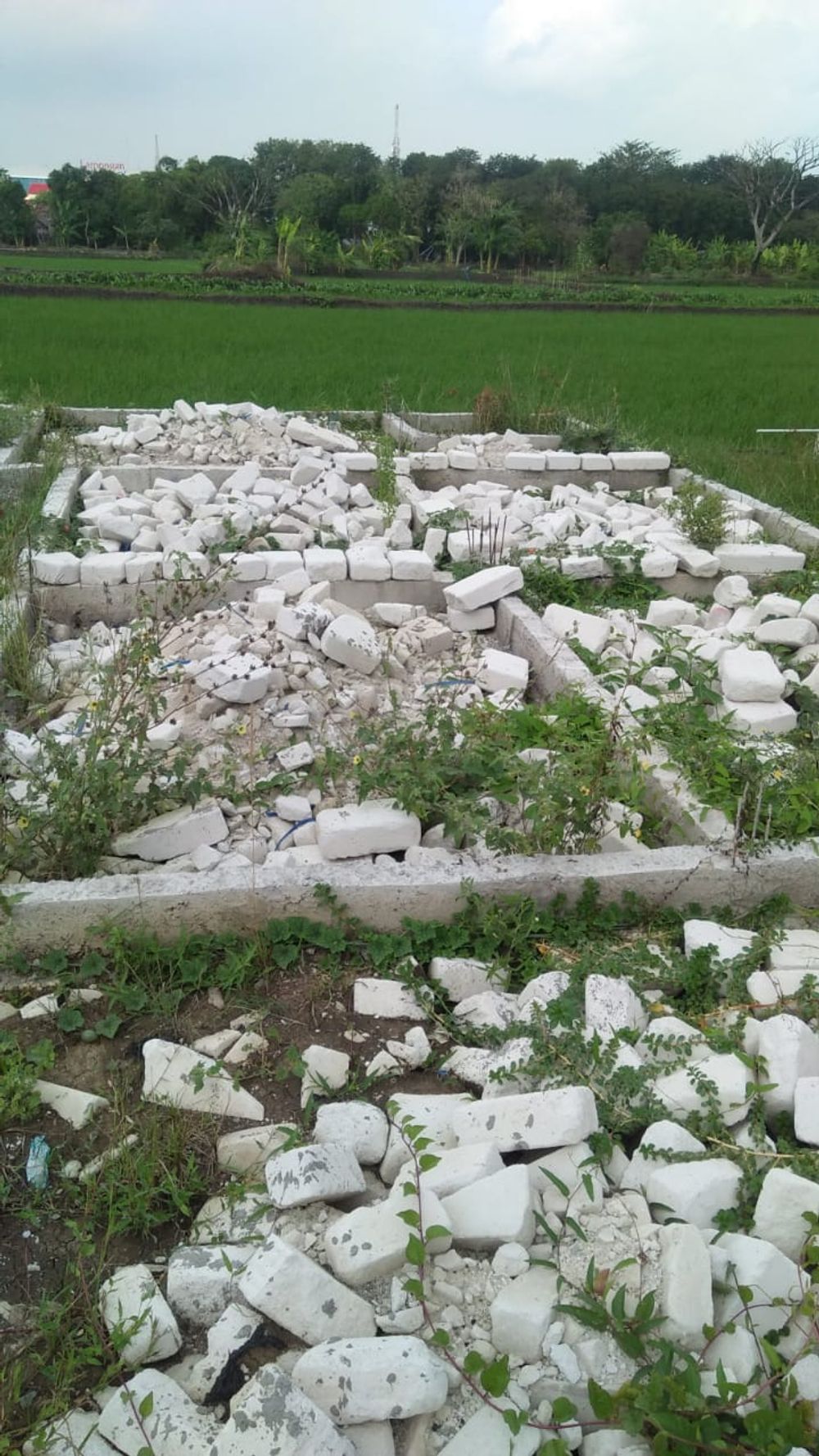 foto denah rumah tipe 30/60 perumahan PERUMAHAN ZAMRUD RESIDENCE