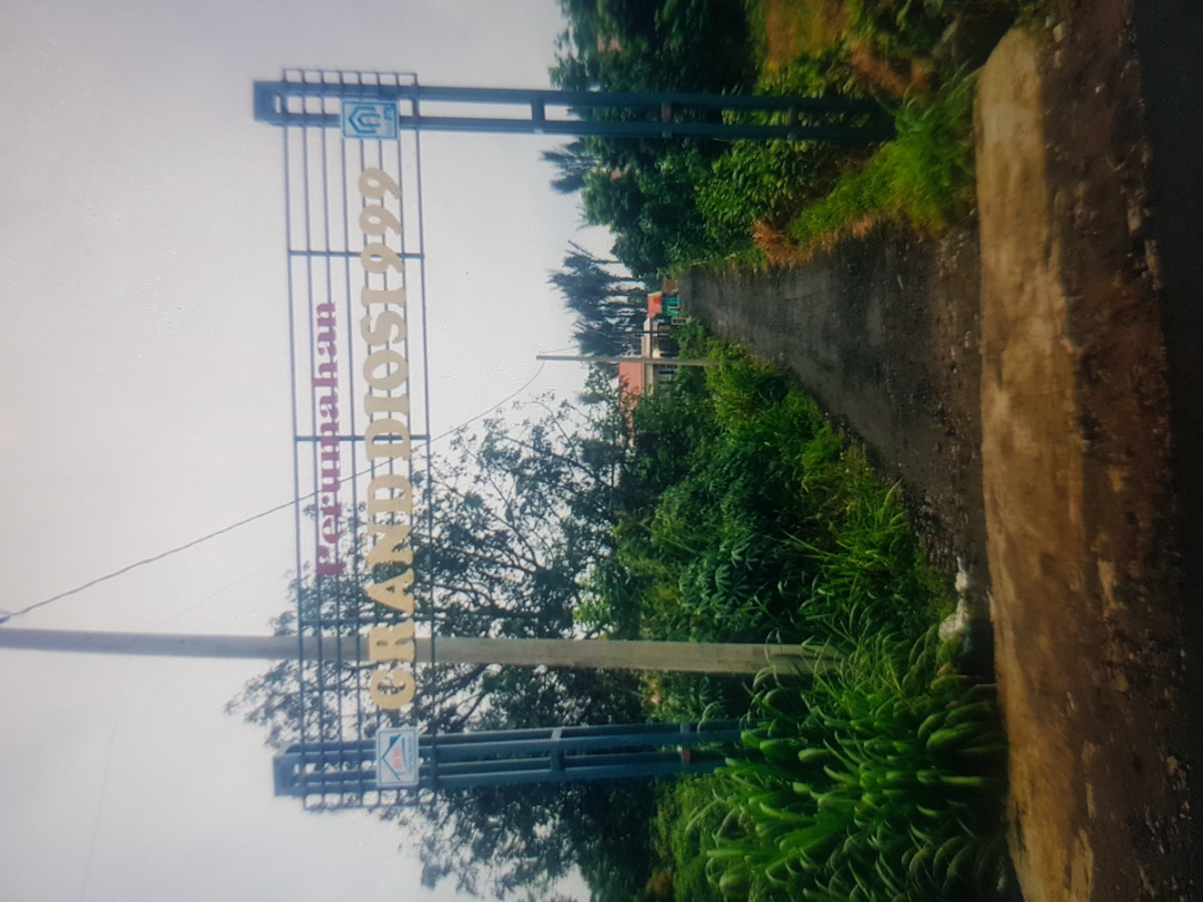 foto gerbang perumahan Grand Diosi 999