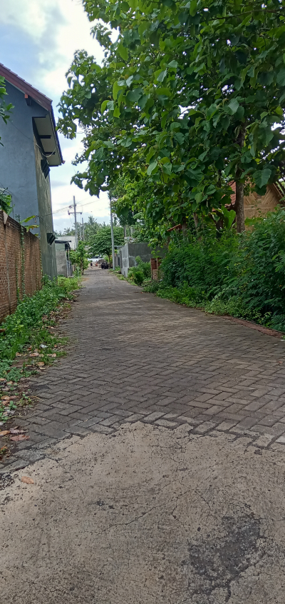 foto gerbang perumahan CEMARA REGENCY