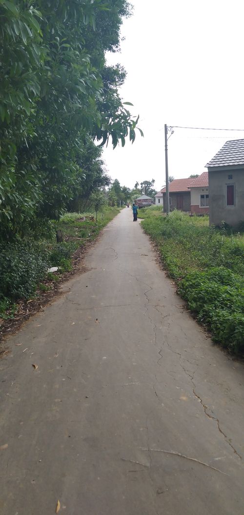 foto gerbang perumahan Bumi Langgeng Sejahtera