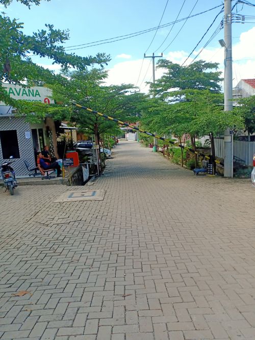foto gerbang perumahan Savana Alam Serpong