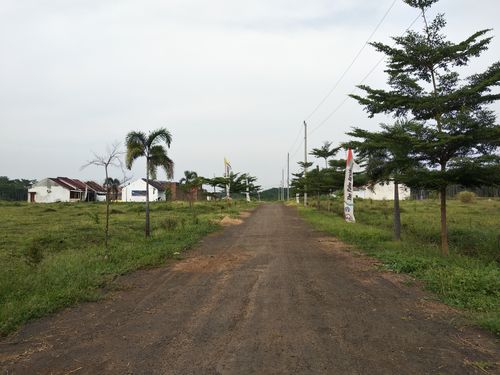 foto gerbang perumahan The Palm Residence