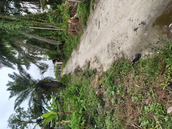foto gerbang perumahan PERUMAHAN PERMATA LESTARI 04