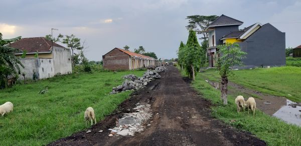 foto gerbang perumahan DIVA DAVA RESIDENCE 3