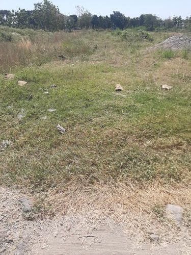 foto gerbang perumahan CITRA PEDAN ASRI
