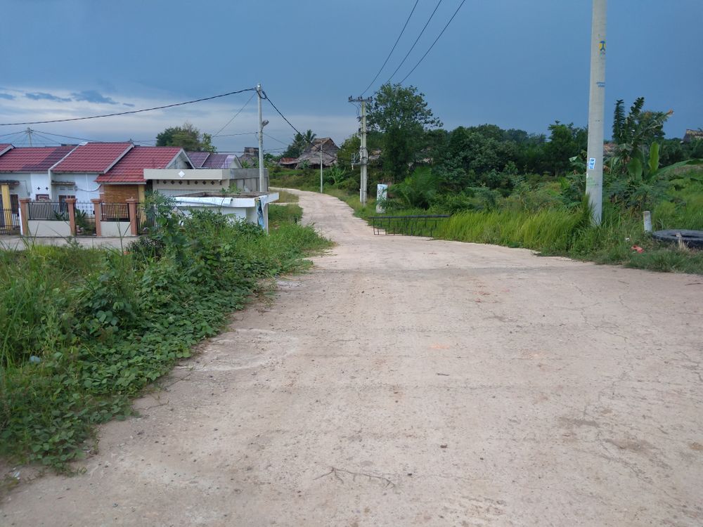 foto gerbang perumahan Palem Emas 