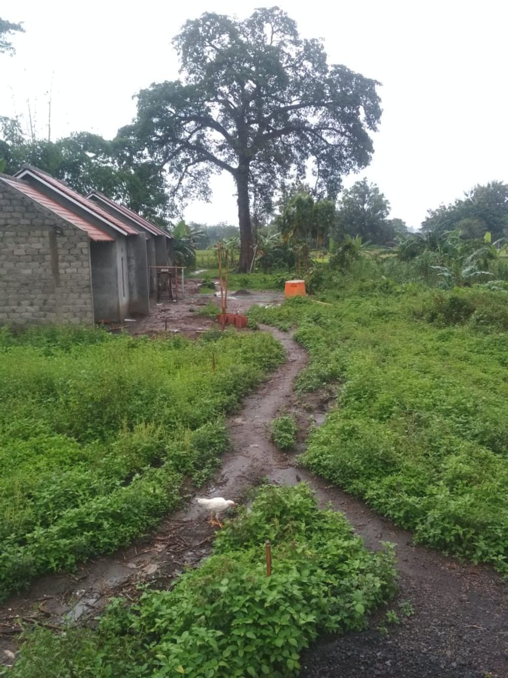 foto gerbang perumahan Griya Amanah Krakitan