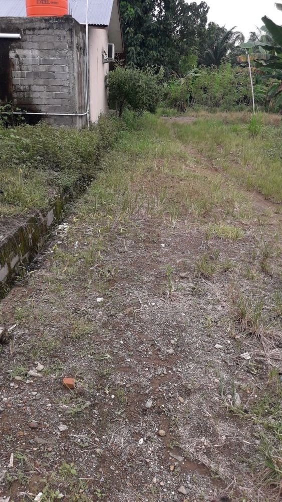 foto gerbang perumahan Topoyo Indah Residence