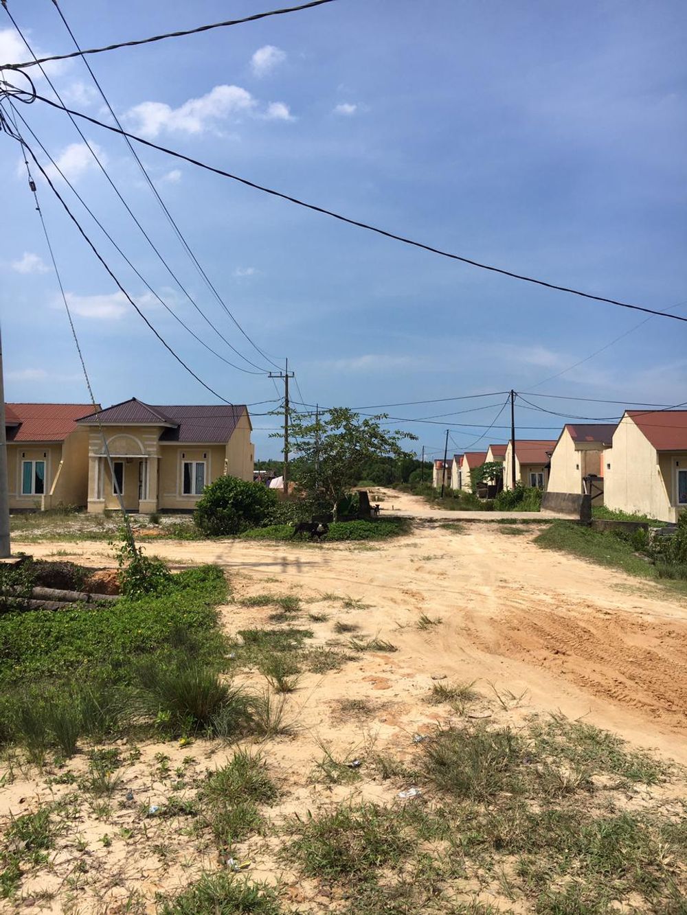 foto gerbang perumahan LINDA REGENCY 9