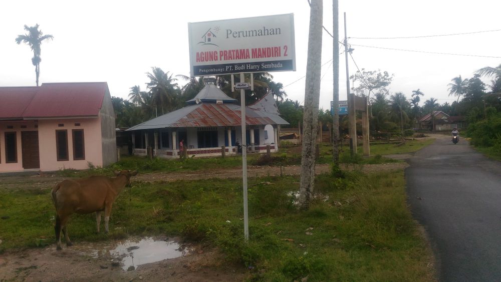 foto gerbang perumahan Perumahan Agung Pratama Mandiri Tahap 2
