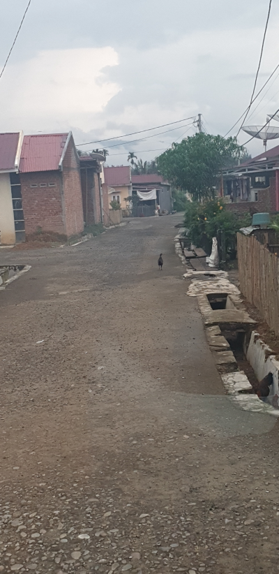 foto posisi tengah perumahan Griya Permata Barokah 2