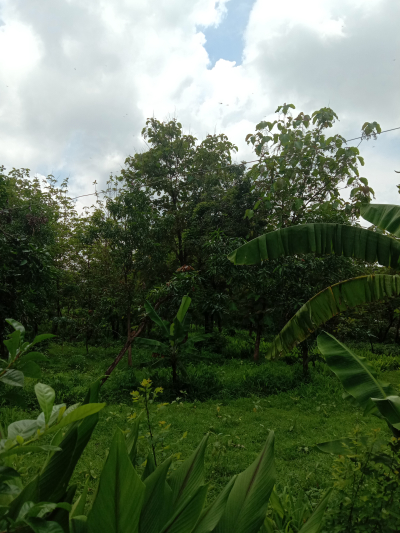 foto posisi tengah perumahan Griya panorama jatimulya