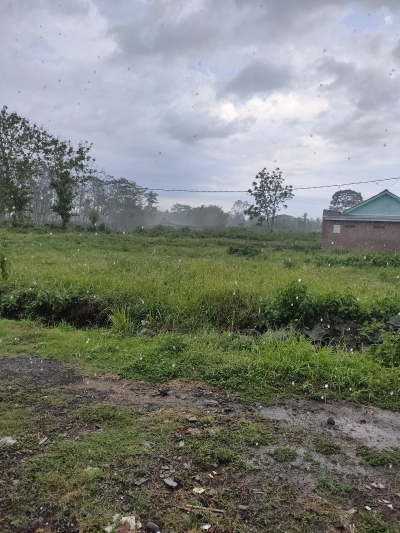foto posisi tengah perumahan PERUMAHAN GRIYA GURIT PERMAI
