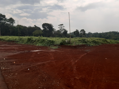 foto posisi tengah perumahan Bumi Purwadadi Indah