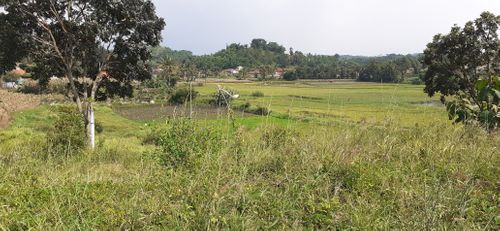 foto posisi tengah perumahan PERUM PONDOK MUTIARA BANYURESMI