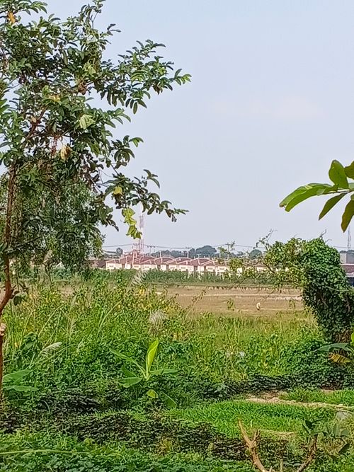 foto posisi tengah perumahan Cikarang Utama Residence 2