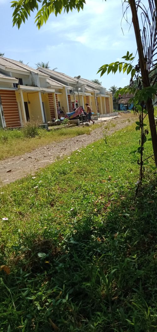 foto posisi tengah perumahan NEW KALISAT RESIDENCE