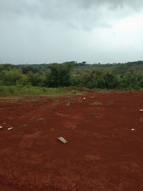 foto posisi tengah perumahan BUKIT HAVANNA JATISRONO