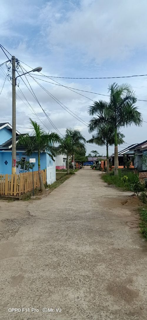 foto posisi tengah perumahan GREEN PALM RESIDENCE