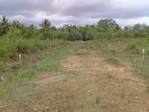 foto posisi tengah perumahan PERUMAHAN PESONA LIANGANGGANG PERMAI