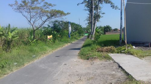 foto posisi tengah perumahan AULEEA RESIDENCE