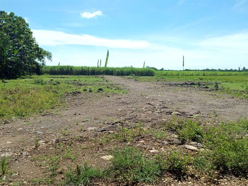 foto posisi tengah perumahan Green Balongrejo Residence 