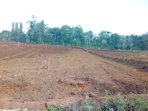foto posisi tengah perumahan Villa Cendana Residence II