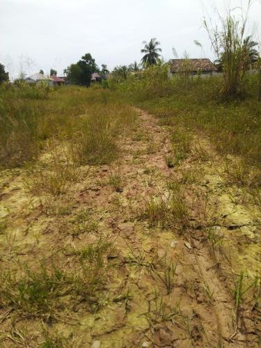 foto posisi tengah perumahan BINANGUN RESIDENCE
