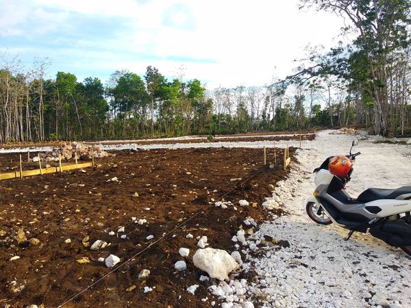 foto posisi tengah perumahan Griya Kemorosari Indah