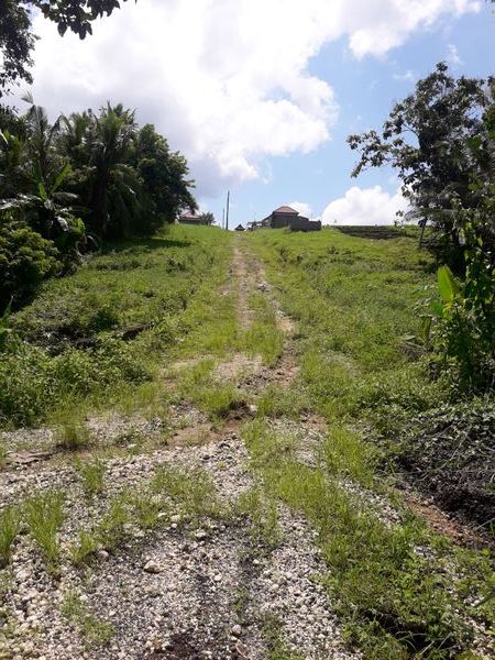 foto posisi tengah perumahan SATYA GRAHA RESIDENCE