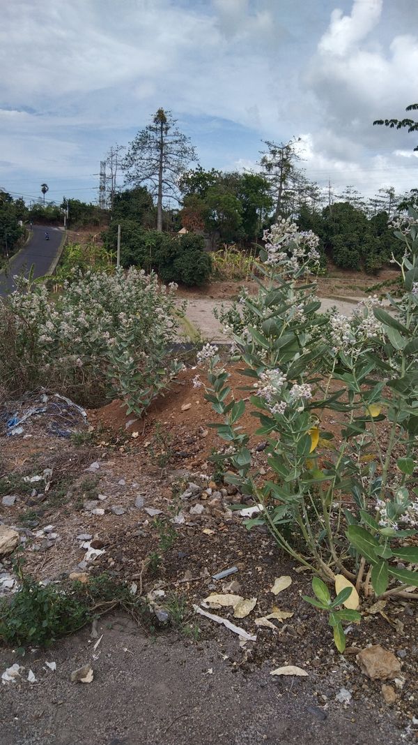 foto posisi tengah perumahan Perumahan Duta Mas Sanggraha