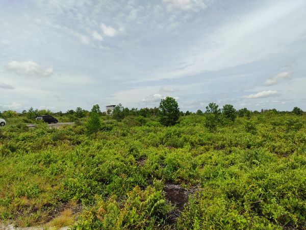 foto posisi tengah perumahan CITRA MANDIRI RESIDENCE 17