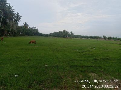 foto posisi tengah perumahan Alana Residence 3