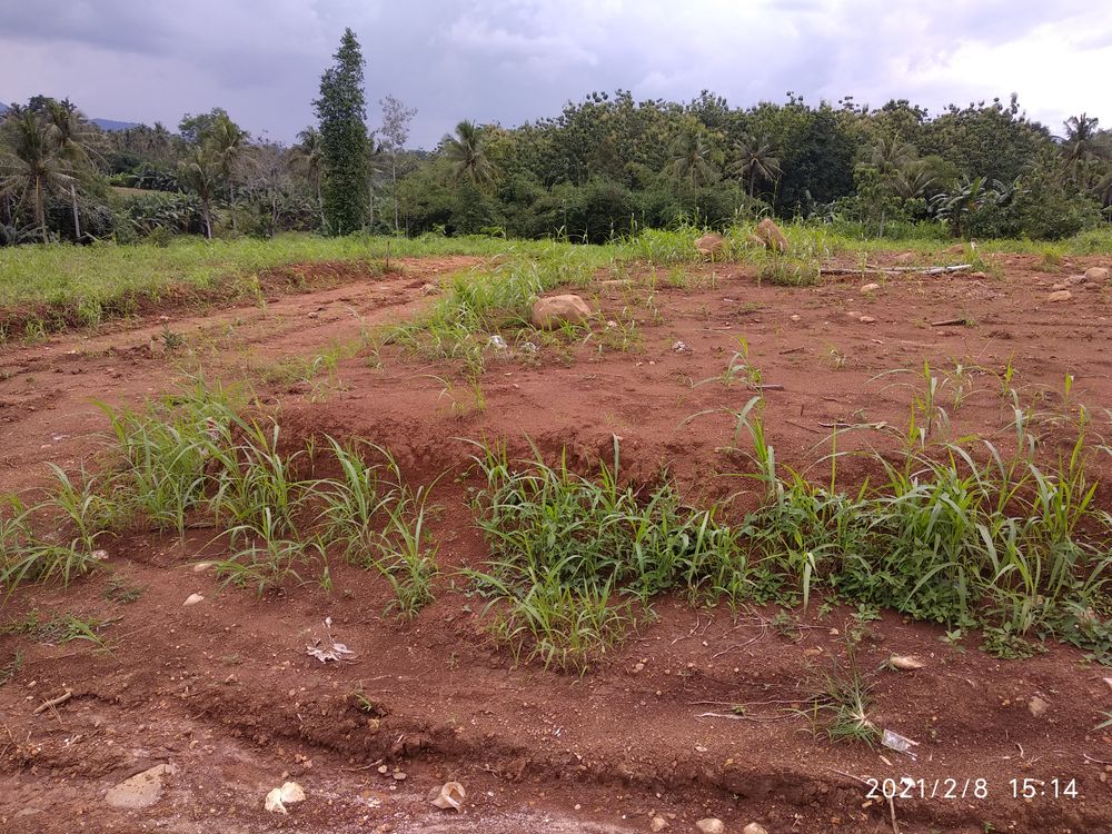 foto posisi tengah perumahan BUKIT INDAH NATAR