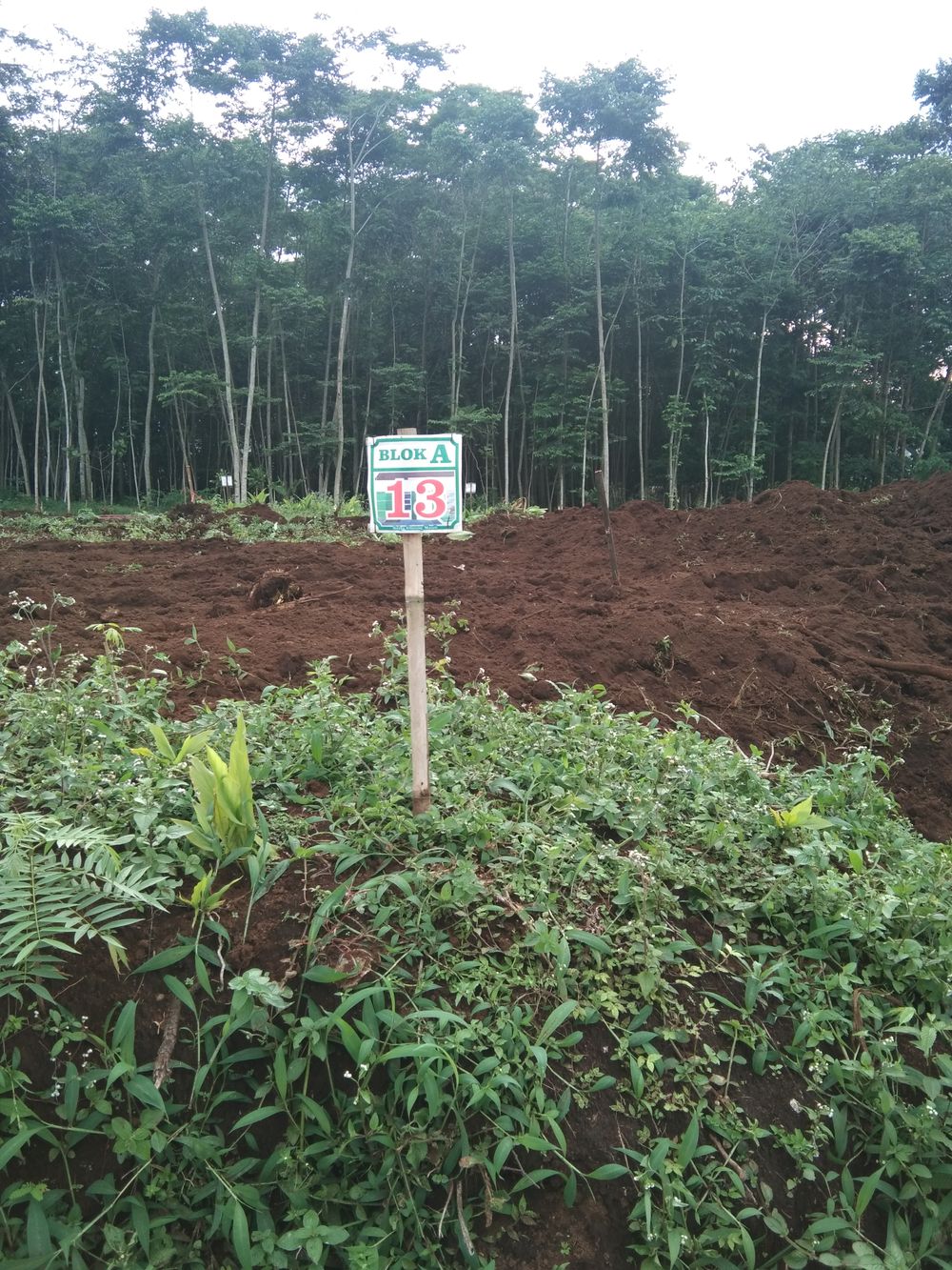foto posisi tengah perumahan GRIYA GUNUNGMANIK