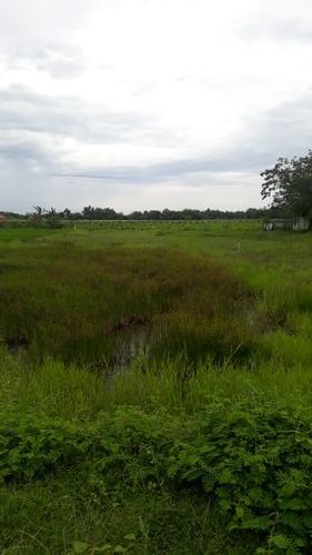 foto posisi tengah perumahan Puri Tanjung