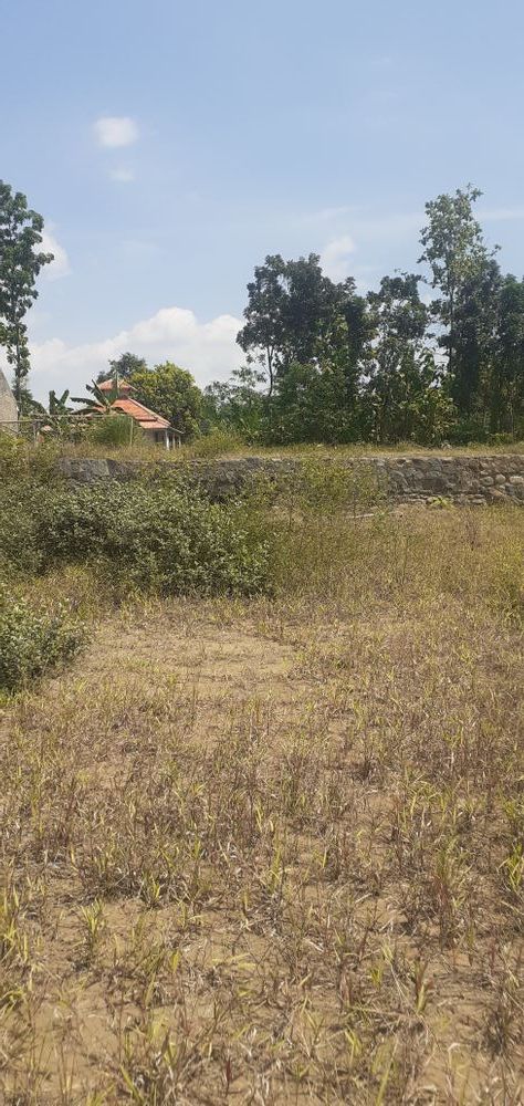 foto posisi tengah perumahan Paraduta bodeh