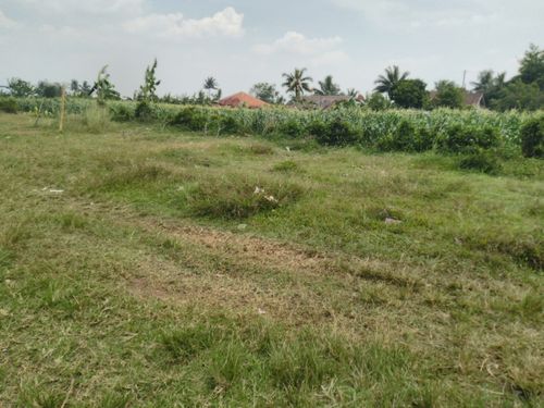 foto contoh rumah perumahan Perumahan Bantarsari Asri