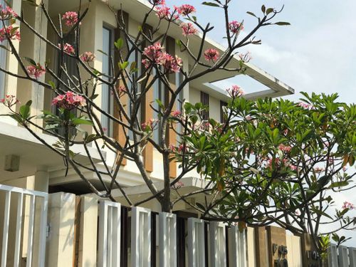 foto contoh rumah perumahan MALANG ANGGUN SEJAHTERA